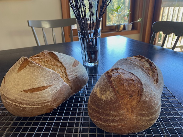 Our Daily Bread Updated